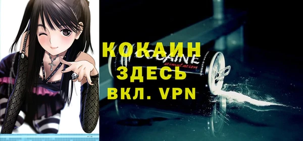 соль ск Дмитров