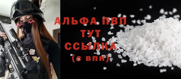 соль ск Дмитров