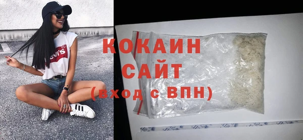 соль ск Дмитров