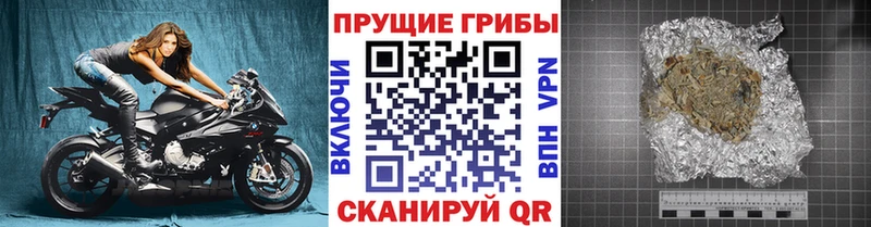 Псилоцибиновые грибы Psilocybe  Вологда 